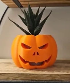Jack-o-Lantern plant holder