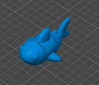 Shark One Color