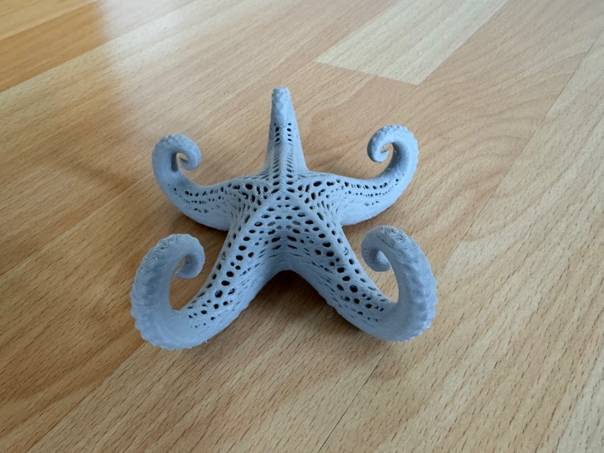 Voronoi Star-Octopus 