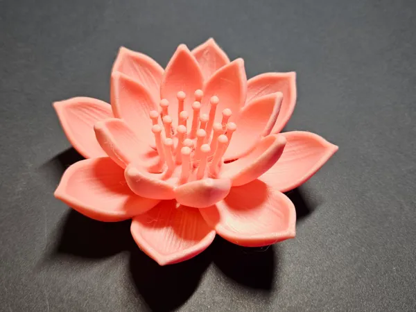 https://makerworld.bblmw.com/makerworld/model/USd1d488c5c0d28d/design/998c8bf1ae2d5b23.jpg