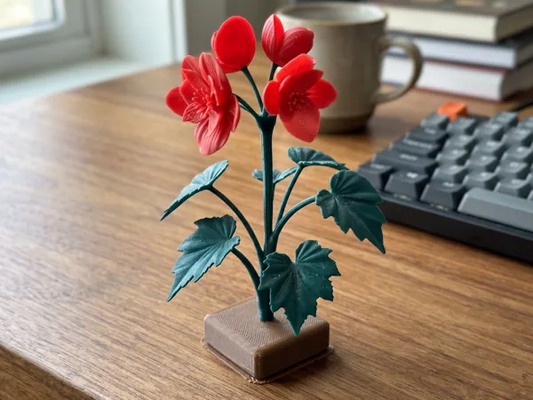 https://makerworld.bblmw.com/makerworld/model/USd1d56ae2689dcc/design/e63bcc8769c1c106.png