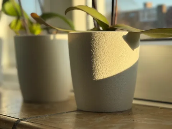 https://makerworld.bblmw.com/makerworld/model/USd1d7a2224de175/design/2025-03-20_706def702175b.jpg