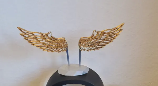 https://makerworld.bblmw.com/makerworld/model/USd1daa8d32c0606/design/2023-11-11_5407ac93fa8d8.jpg