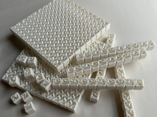 https://makerworld.bblmw.com/makerworld/model/USd1dbf23e461be8/design/2024-08-09_9f499ecea51f2.webp