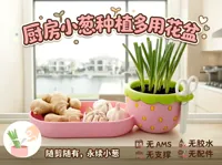 含大小两个尺寸供大家选择