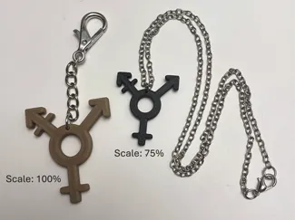 Trans Symbol Charm