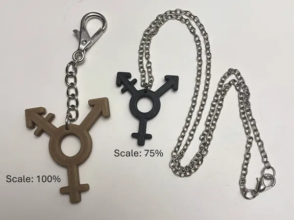 https://makerworld.bblmw.com/makerworld/model/USd1e276e063d1ad/design/2025-03-11_77f5e91cae22b.png