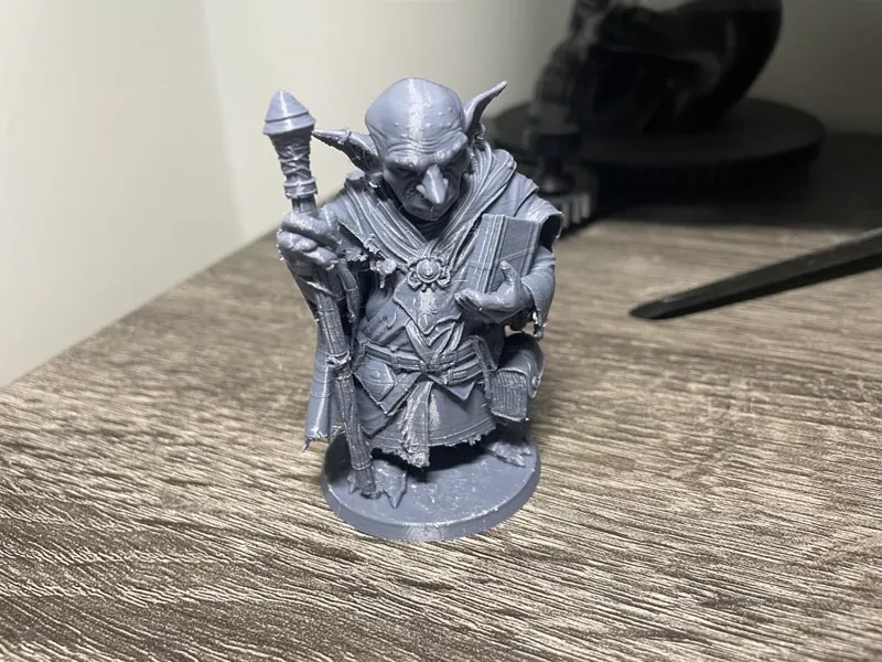 Goblin High Sage : Miniature