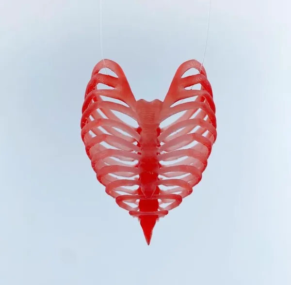 https://makerworld.bblmw.com/makerworld/model/USd1e88a80c45138/design/2024-01-03_6b20c526c2dc4.jpg