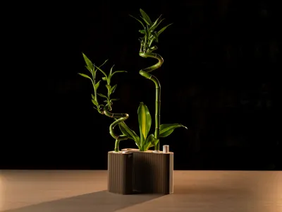 Parametrischer Bambus-Pflanztopf Selbstbewssernd mit Schwimmer   Kostenloses 3D-Druckmodell  MakerWorld