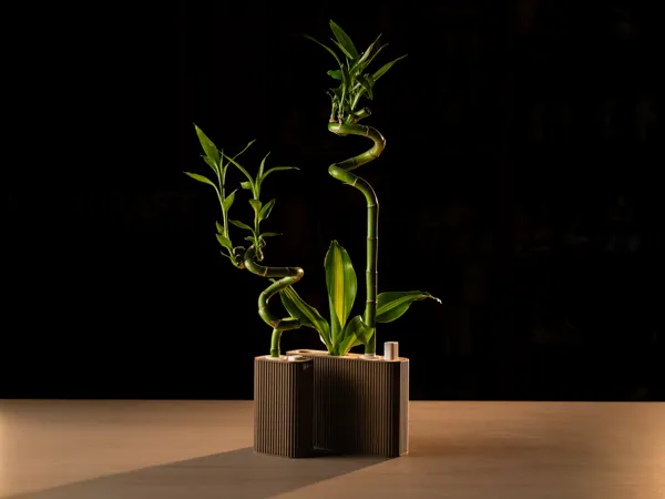 https://makerworld.bblmw.com/makerworld/model/USd1ed3292ef7b2c/design/2025-11-30_b687176e11c608.jpg