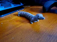 Teckel articulé — photo 2