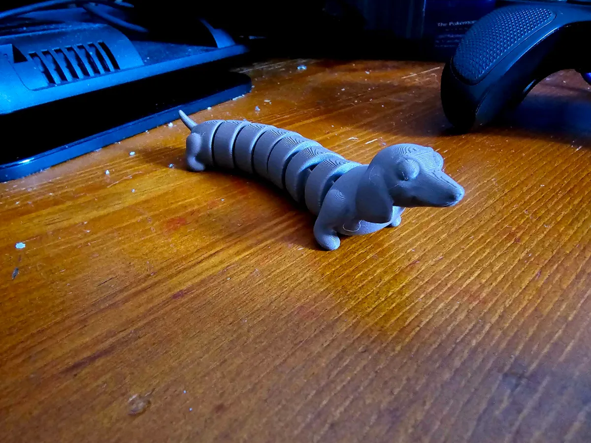 Teckel articulé