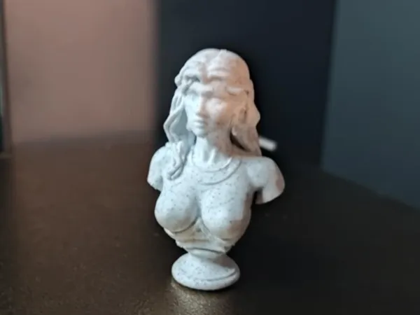 https://makerworld.bblmw.com/makerworld/model/USd1ede5b6a00215/design/2025-06-16_43b8928a2e1e38.jpg