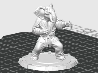 Sensei Fant 
