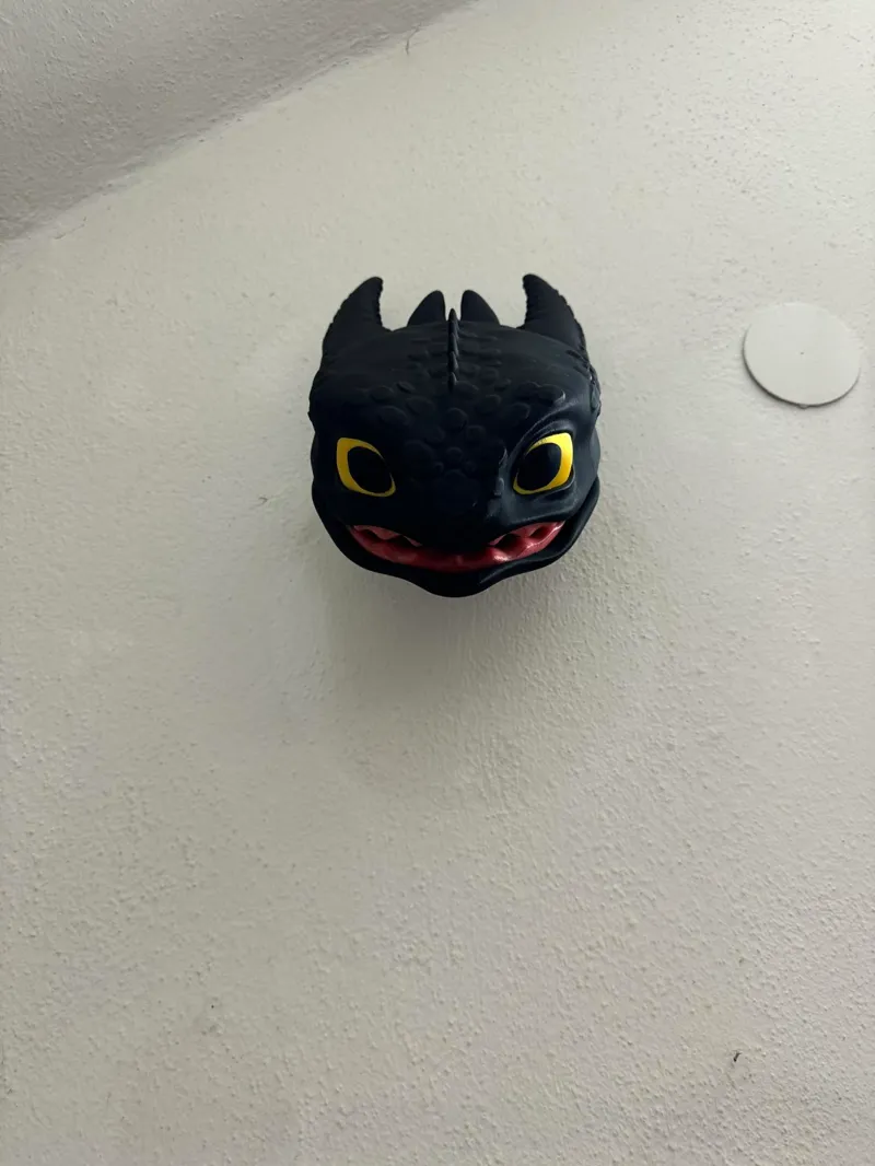 Toothless head Wall decoration