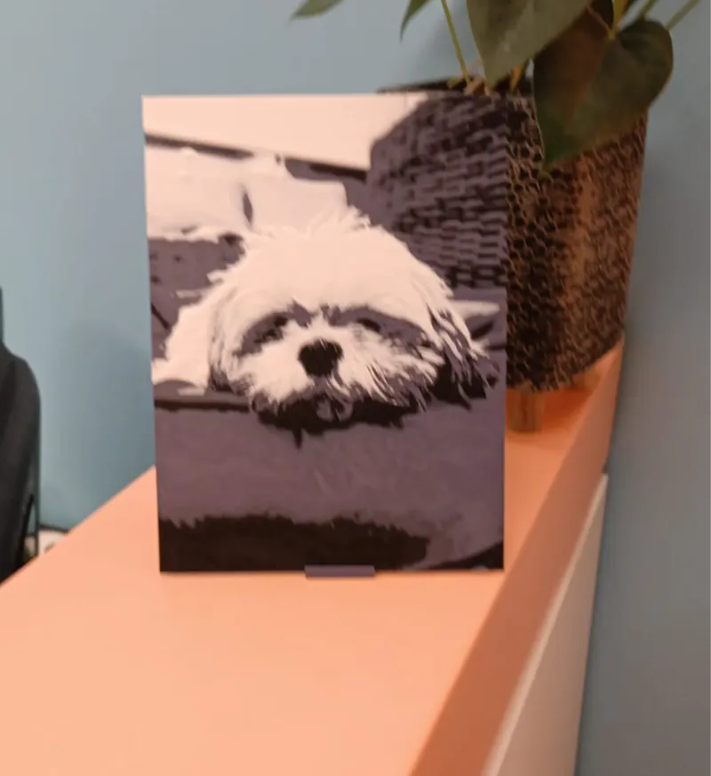 Shih Tzu Dog Decor