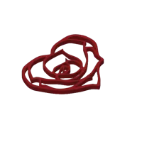 Cœur-rose de Saint-Valentin — photo 2