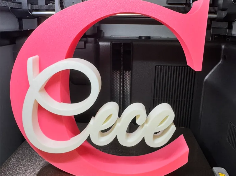 Cece Name 