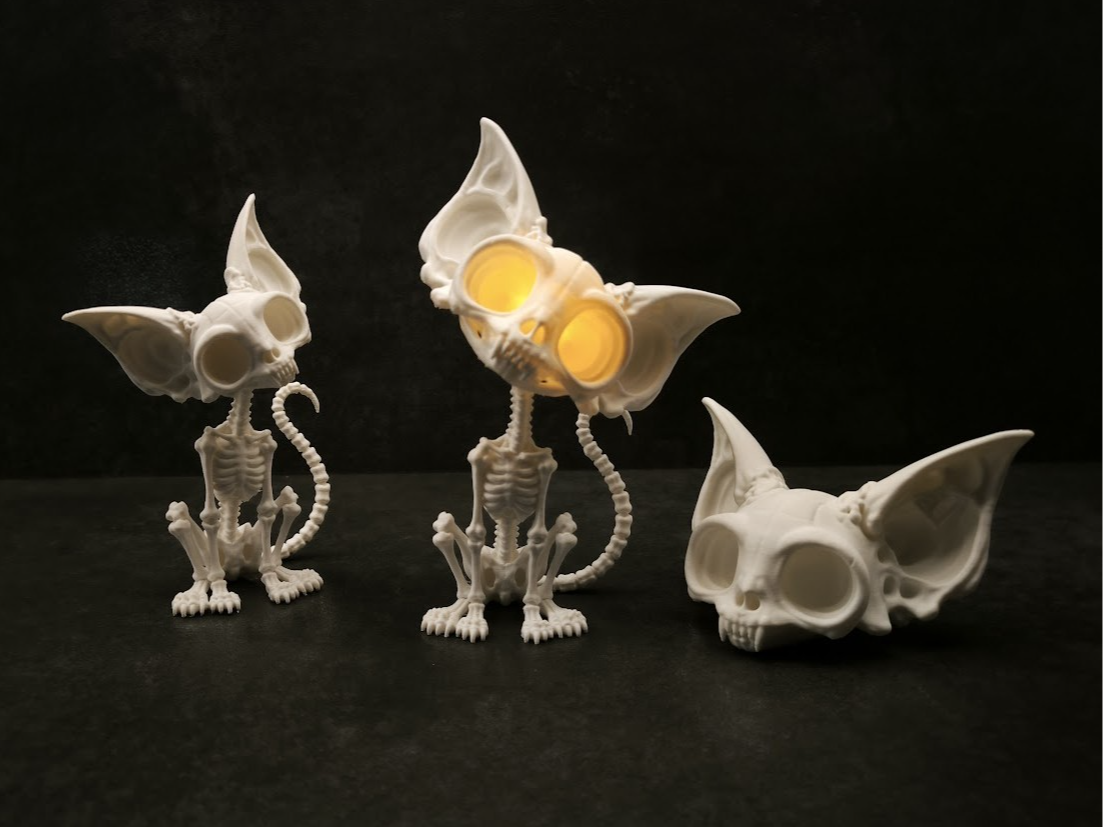 Skeletal Cat with Adjustable Head - 1