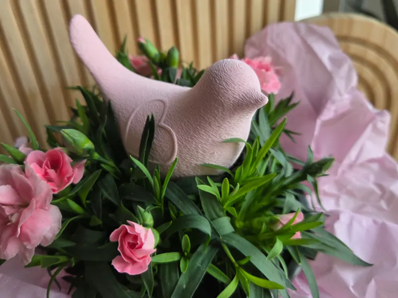Vogel mit Herzflügel 