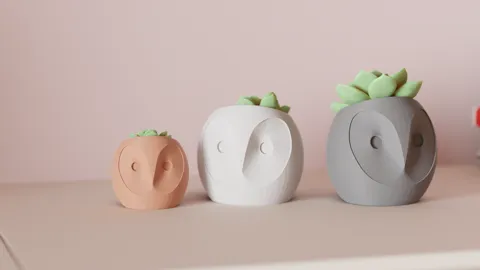 Succulent Plant Pot. Cute Owl Planter. view 4