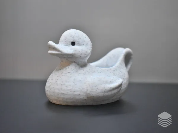 https://makerworld.bblmw.com/makerworld/model/USd1fd9670eac565/design/2025-01-17_863a067fba16a.png