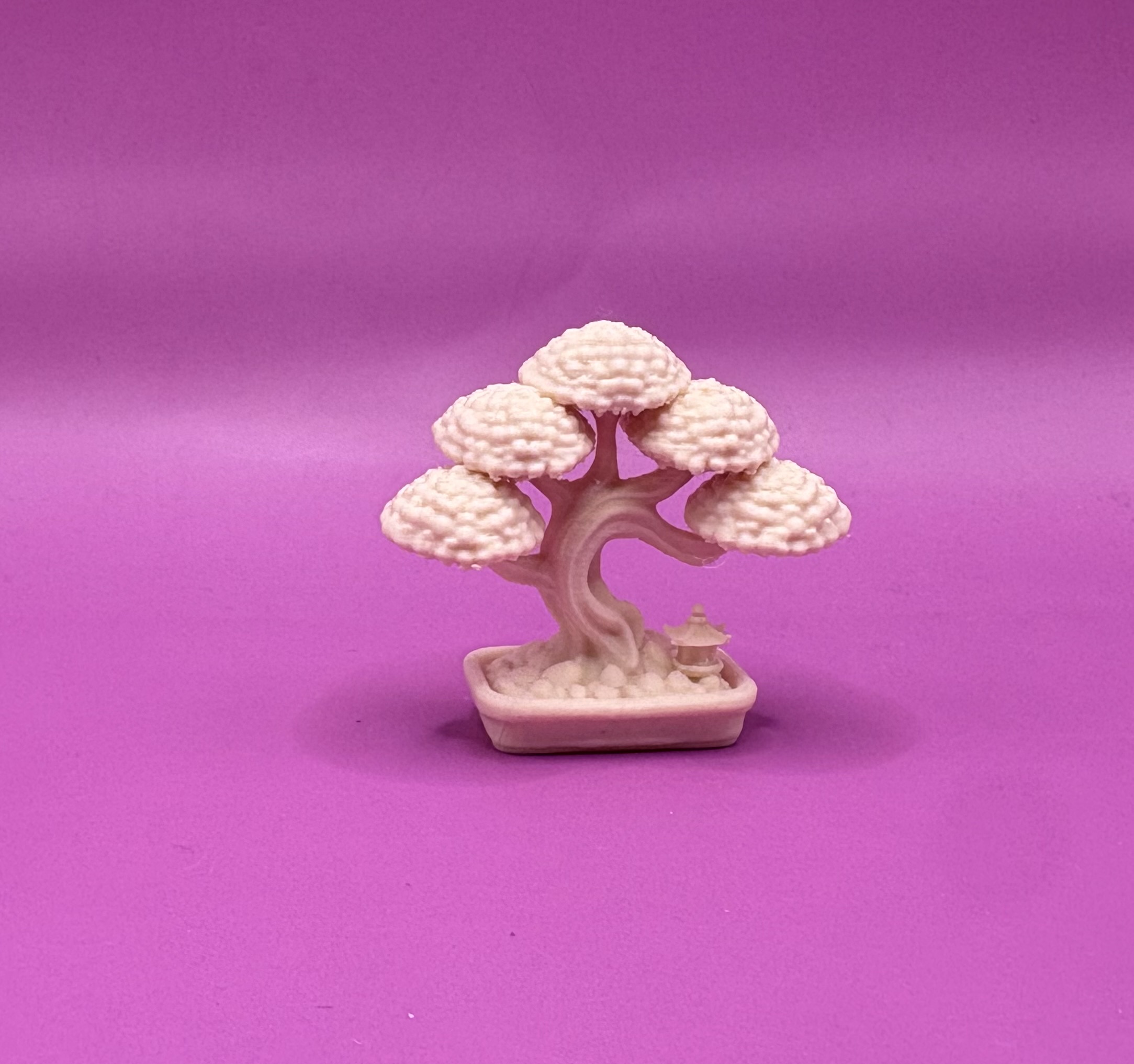 Miniatura 1 do modelo 3D Mini Bonsai Inspired Trees