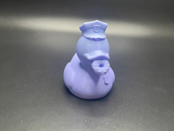 https://makerworld.bblmw.com/makerworld/model/USd201c3e071096f/design/25ffa6e47f780cfe.jpeg