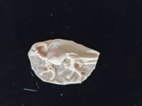 0.2mm 层高, 2 层墙, 10% 填充
