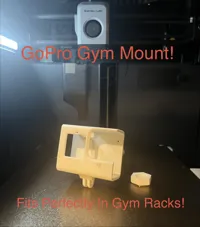 GoPro Mount Version's 12+