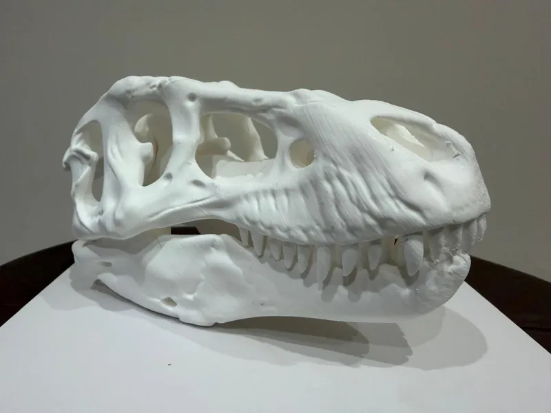 teschio Trex