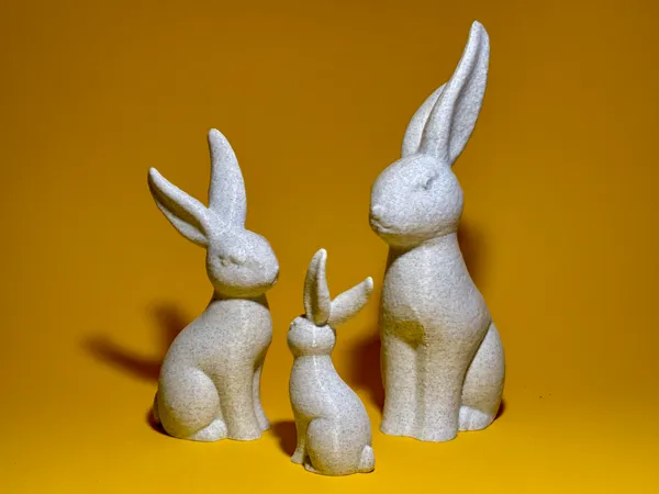 https://makerworld.bblmw.com/makerworld/model/USd208730d387157/design/2025-01-26_26311188066a4.jpg
