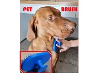 Outil de toilettage pour animaux — photo 1