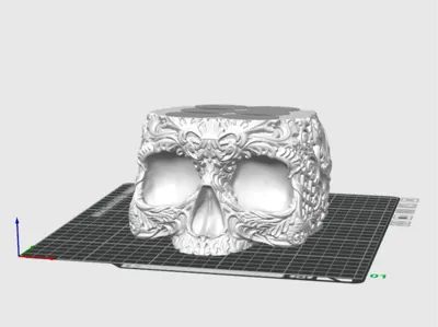 Skull Egg Holder