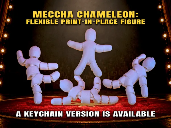 https://makerworld.bblmw.com/makerworld/model/USd20d650fca08d2/design/7022eded9103c9bc.png