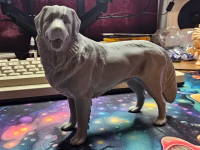 Great Pyrenees dog (Gypsy)