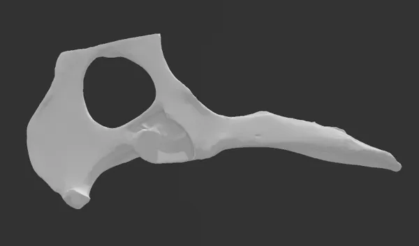 https://makerworld.bblmw.com/makerworld/model/USd210d5439181ed/design/2024-01-29_0048aaf9a4497.png