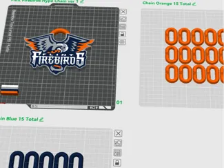 Flint Firebirds Hypechain 