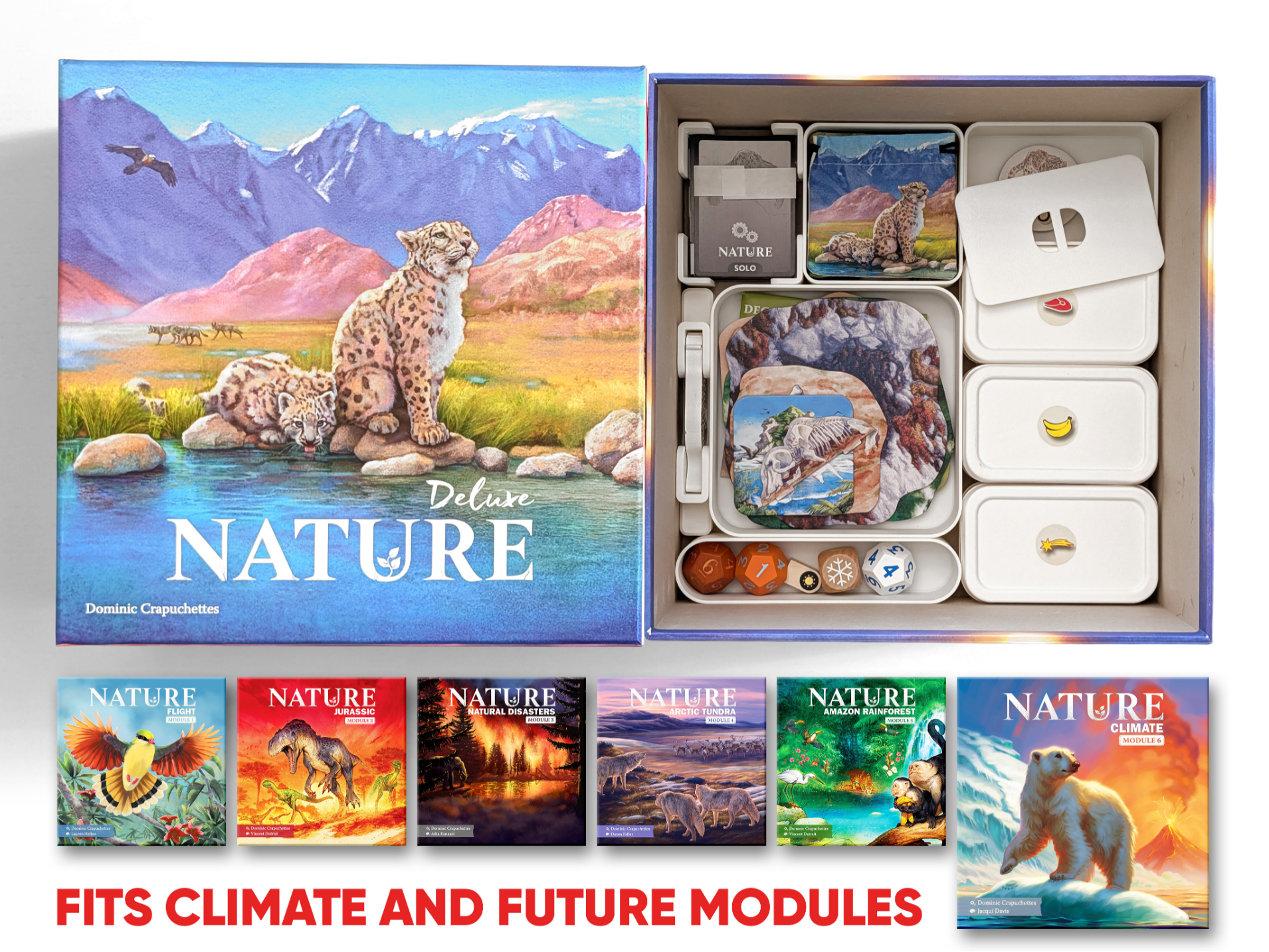 Nature - Big Box Deluxe - Organizer Insert
