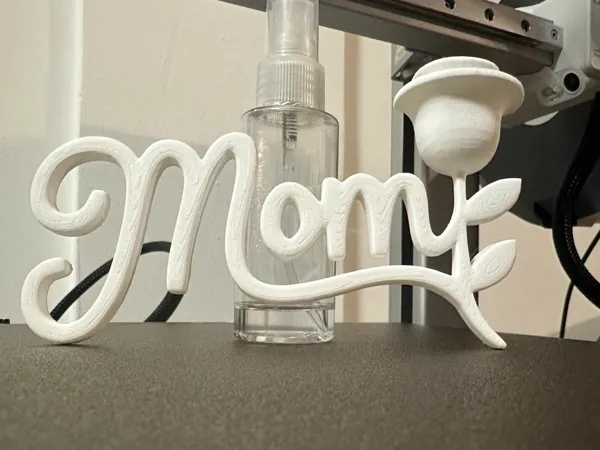 https://makerworld.bblmw.com/makerworld/model/USd22854adeaef68/design/2025-04-24_e7641a47ee90c8.jpg