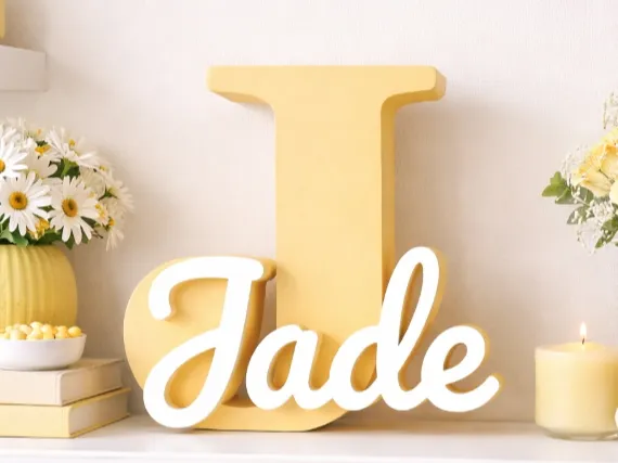 https://makerworld.bblmw.com/makerworld/model/USd229e34e32b921/design/763ddcdb773e2fc8.jpeg