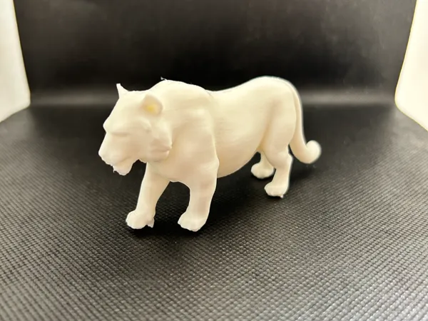 https://makerworld.bblmw.com/makerworld/model/USd22b9c26c455ff/design/2024-12-27_18b61915f49d9.jpeg