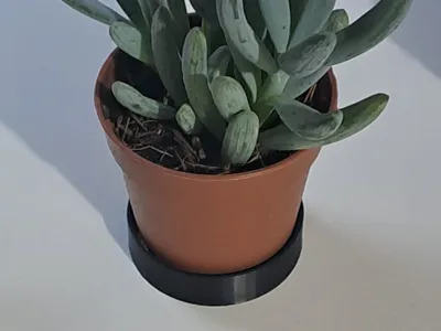 pot saucer - sottovaso