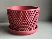 Petit pot à succulentes avec coupelle — photo 4