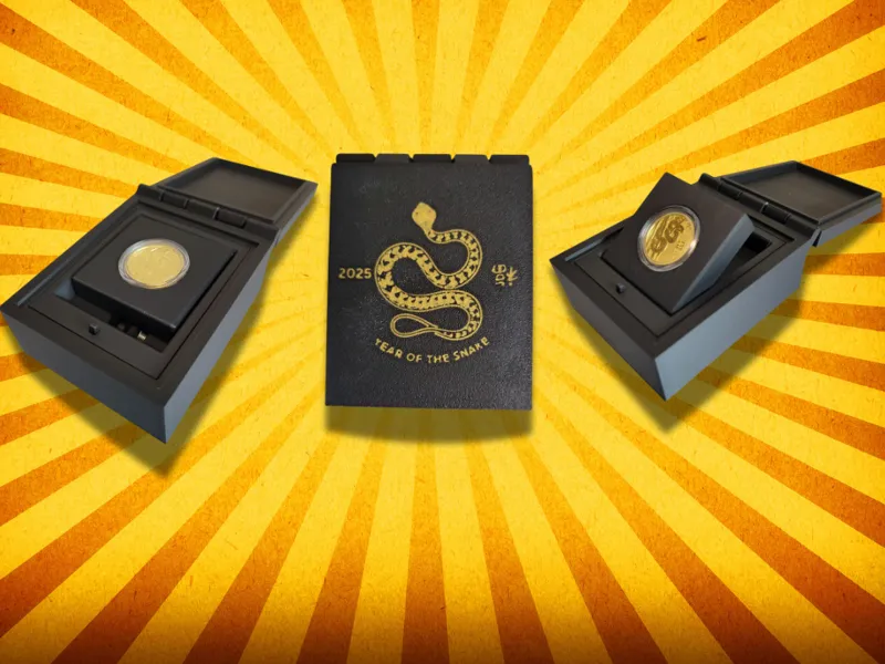Year of the Snake Gold gift box