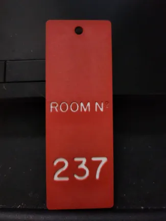 Room 237 Key Fob (The Shining)