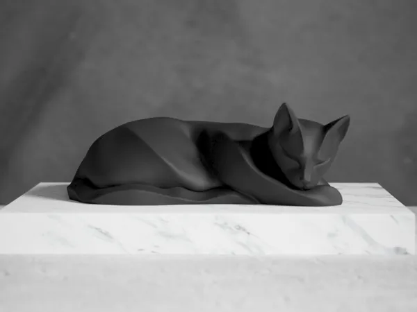 https://makerworld.bblmw.com/makerworld/model/USd233538359c7ff/design/2025-02-08_5aef45cdec17c.jpg
