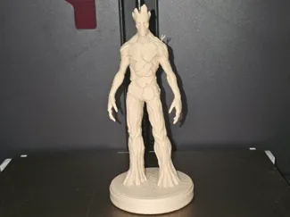 Groot adulte