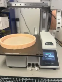 Best Optimized | Smaller scale 80% | 0.2mm layer, 2 walls